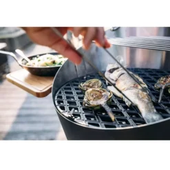 Grillrost Höfats Cone Gussrost -Campingausrüstung guss rost hoefats grillrost bratrost grillzubehoer campinggrill outdoor 1000 5 22409